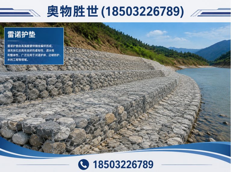 贺州雷诺护垫展示图
